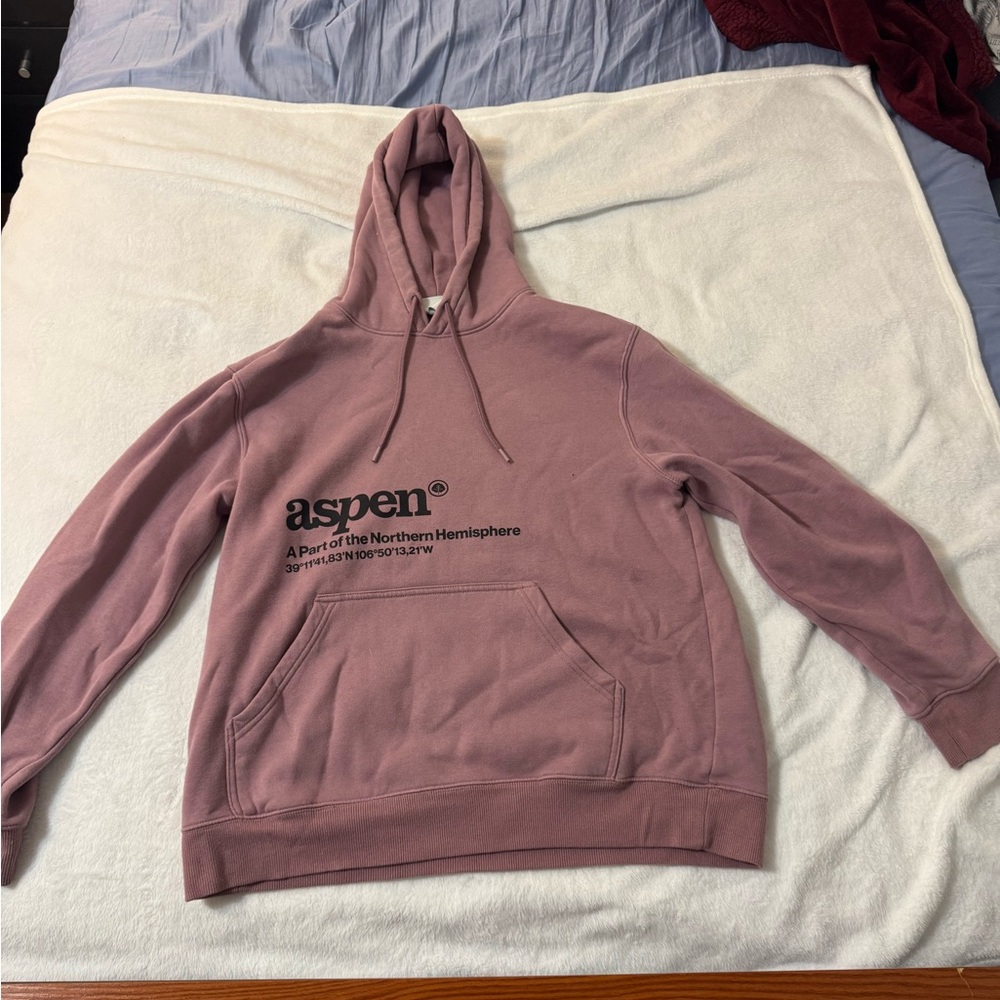 H&M Dusty Rose Hoodie Sweater